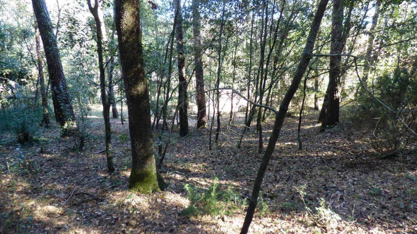 4 bedroom Finca/Country House for sale in Sant Quirze Safaja with garage - € 398,000 (Ref: 9420175)