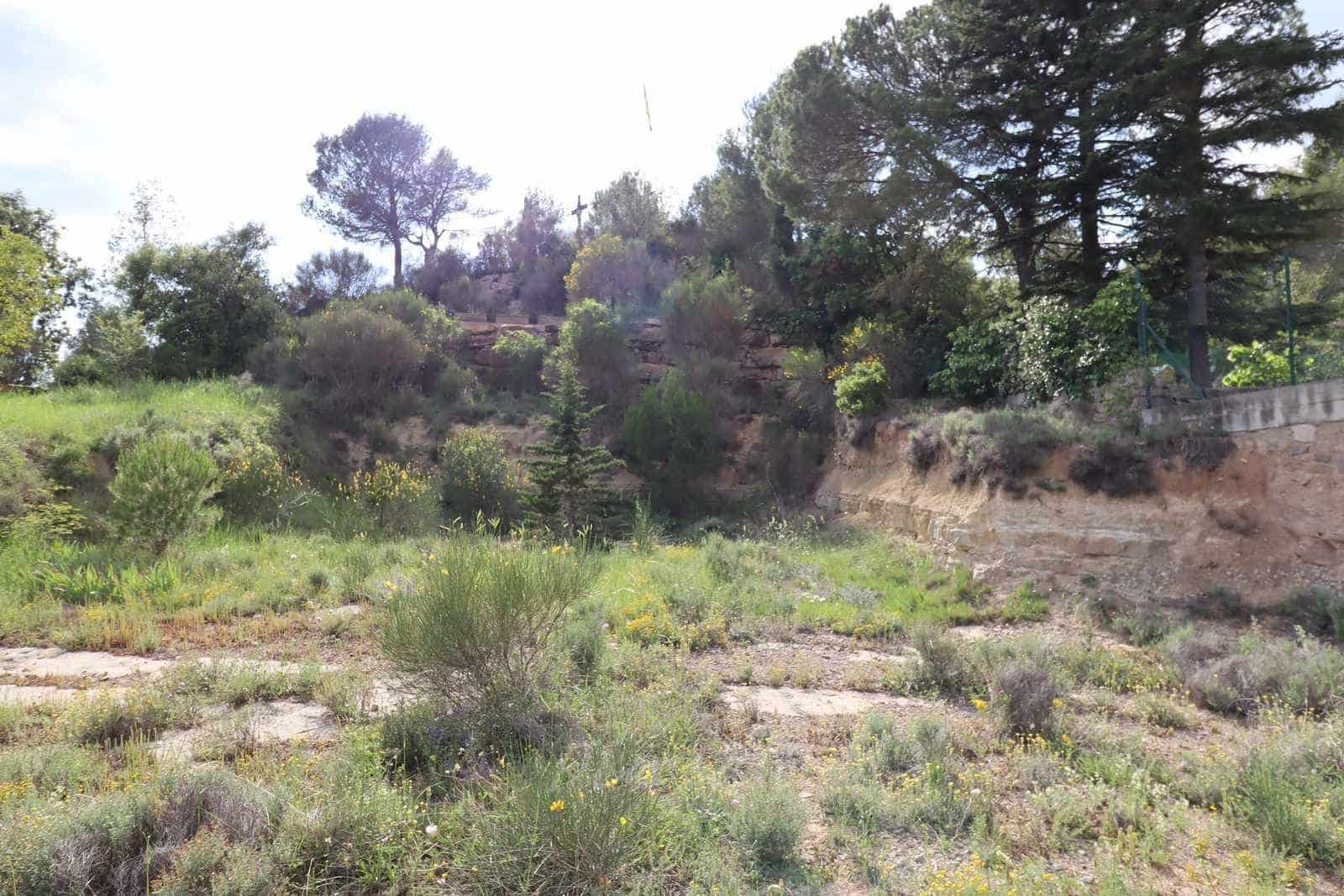 Terre non Aménagée à vendre à Moia - 90 000 € (Ref: 9420179)