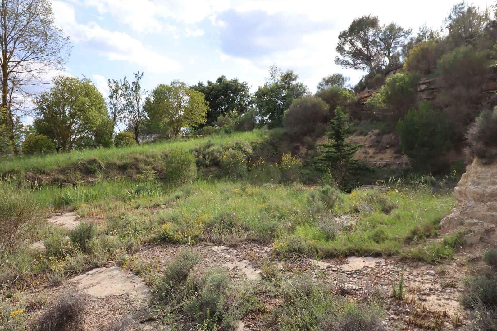 Terre non Aménagée à vendre à Moia - 90 000 € (Ref: 9420179)