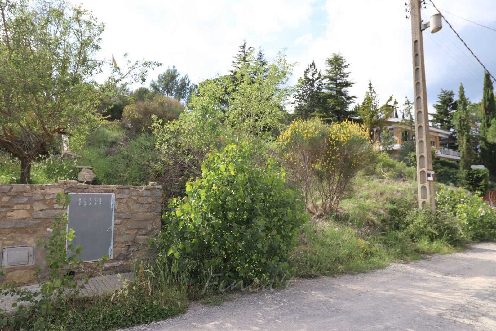 Terre non Aménagée à vendre à Moia - 90 000 € (Ref: 9420179)