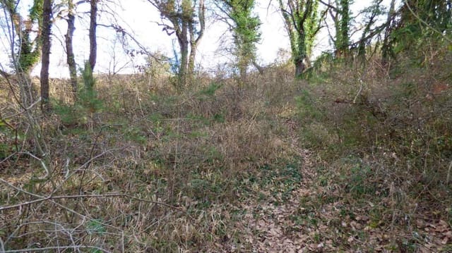 Byggegrund til salg i Moià - € 38.000 (Ref: 9420180)