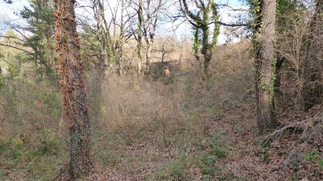 Byggegrund til salg i Moià - € 38.000 (Ref: 9420180)