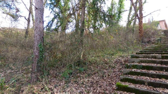 Byggegrund til salg i Moià - € 38.000 (Ref: 9420180)