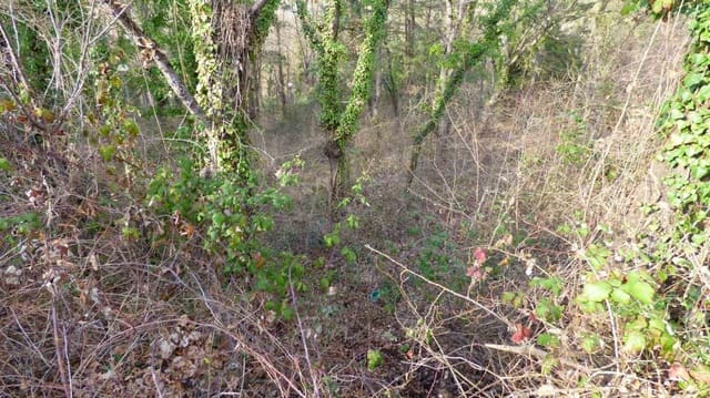 Byggegrund til salg i Moià - € 38.000 (Ref: 9420180)