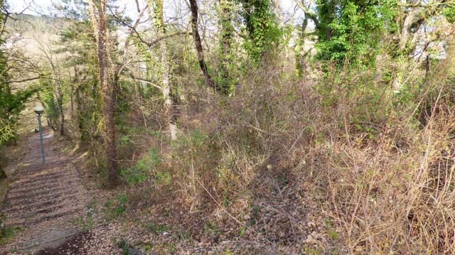 Byggegrund til salg i Moià - € 38.000 (Ref: 9420180)