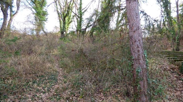 Byggegrund til salg i Moià - € 38.000 (Ref: 9420180)