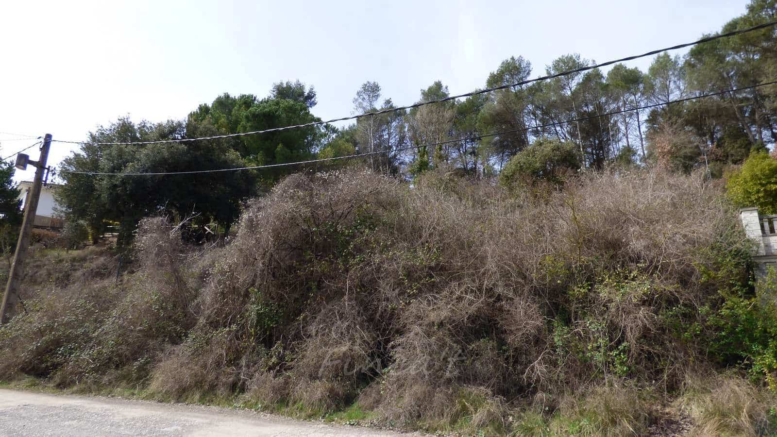 Terrain à Bâtir à vendre à Moia - 32 000 € (Ref: 9420204)