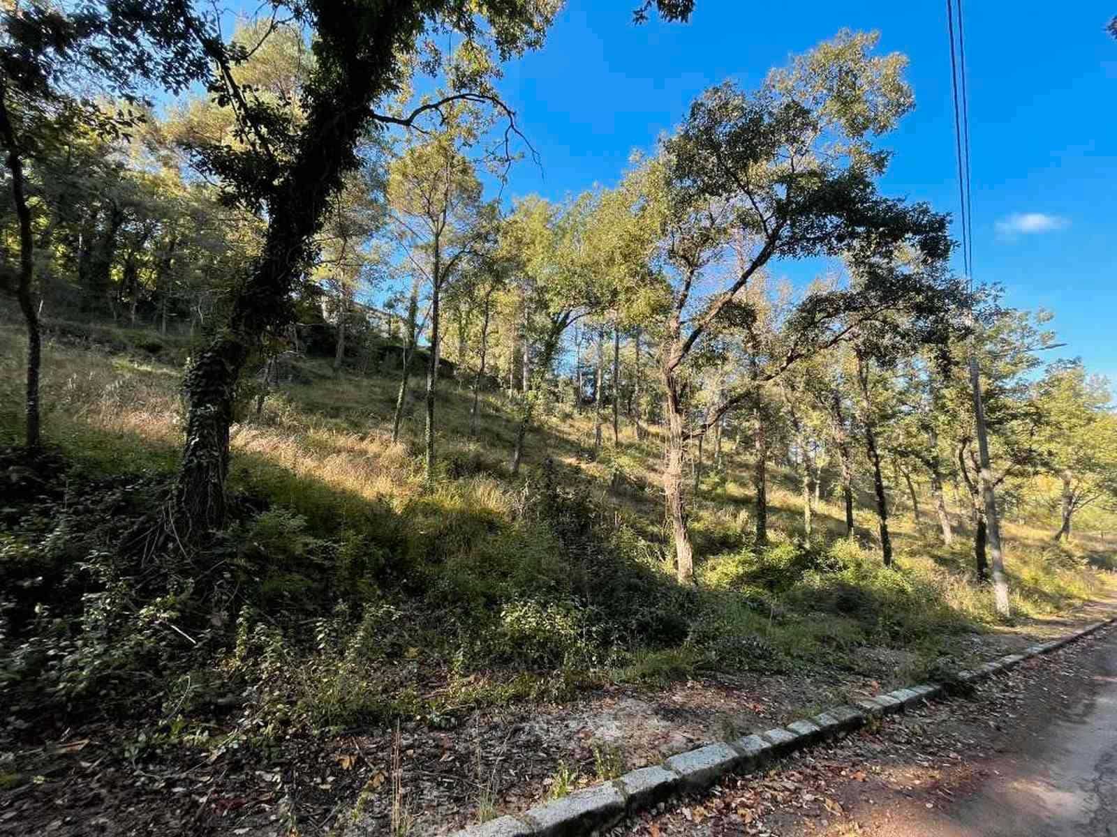 Area Edificabile in vendita in Moia - 42.000 € (Rif: 9420205)