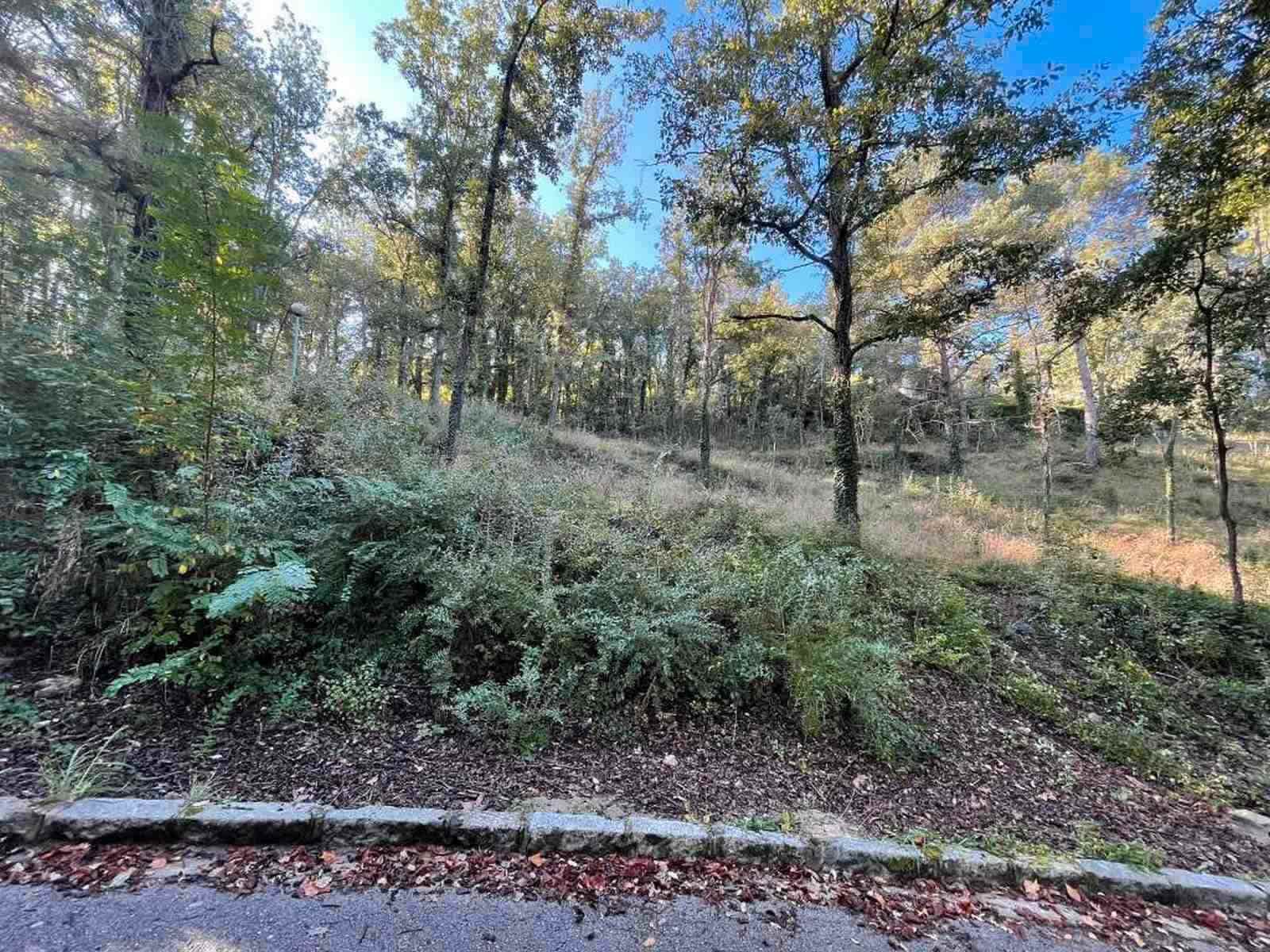 Area Edificabile in vendita in Moia - 42.000 € (Rif: 9420205)