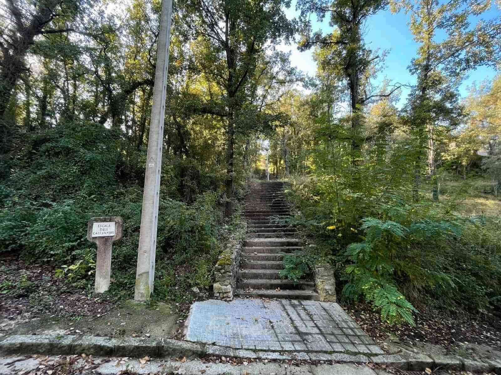 Area Edificabile in vendita in Moia - 42.000 € (Rif: 9420205)