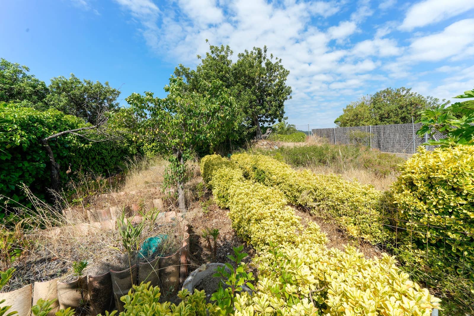 4 chambre Villa/Maison à vendre à Calella avec piscine - 650 000 € (Ref: 9343711)