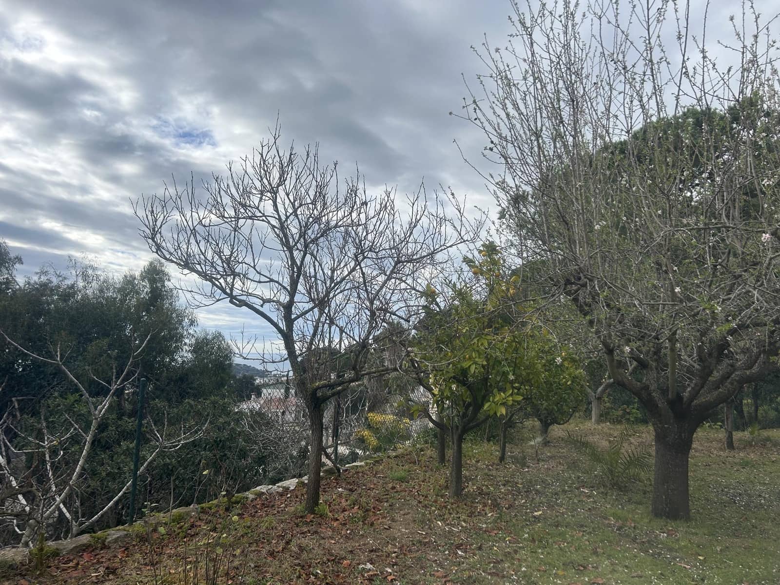 6 sypialnia Dom na sprzedaż w Lloret de Mar - 660 000 € (Ref: 9343720)