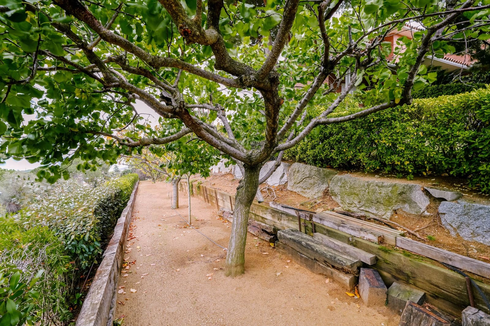 7 chambre Villa/Maison à vendre à Sant Andreu de Llavaneres avec piscine garage - 1 800 000 € (Ref: 9396786)