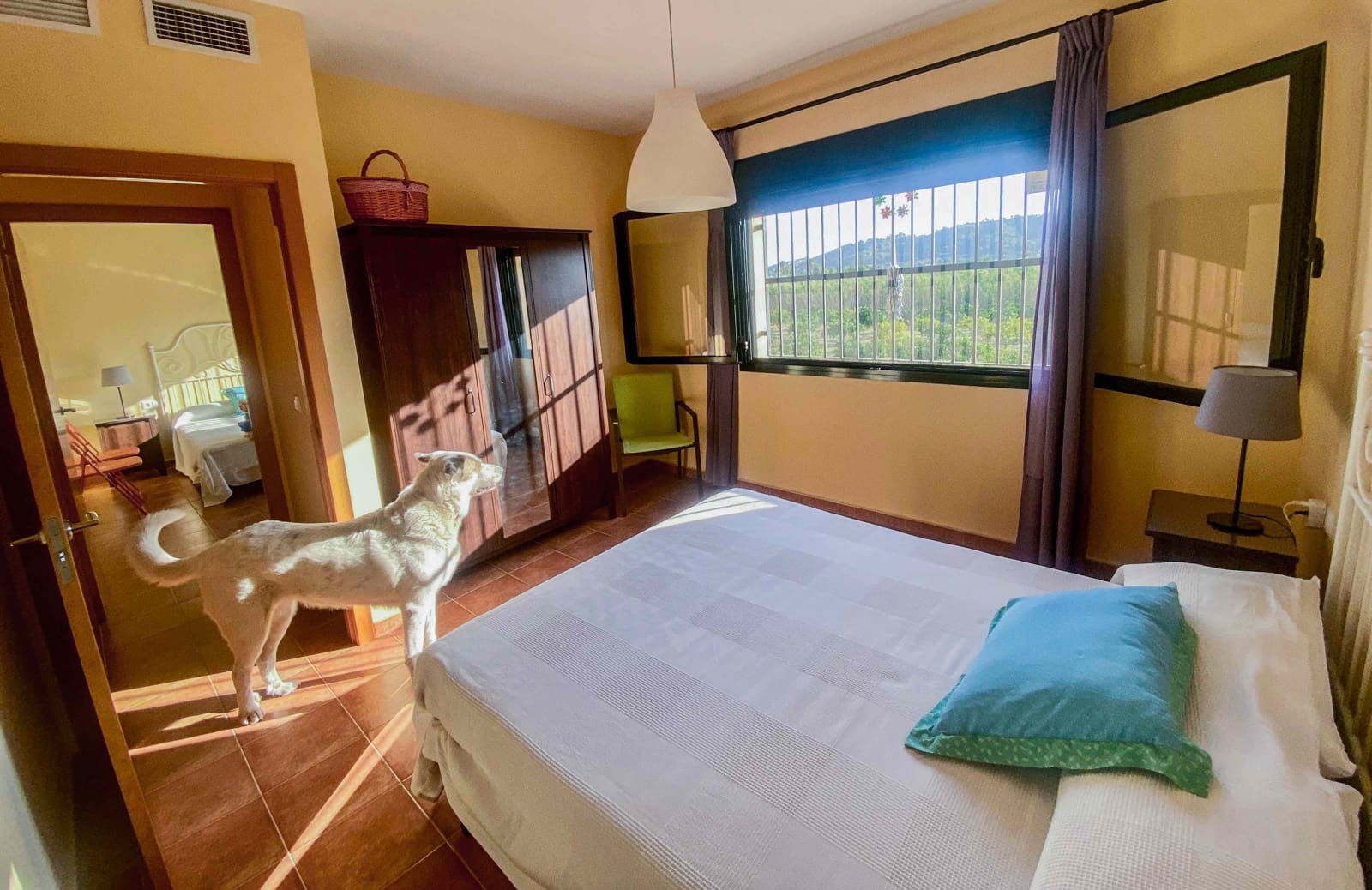 6 soverom Finca/Herregård til salgs i Alzira med svømmebasseng garasje - € 540 000 (Ref: 9172573)