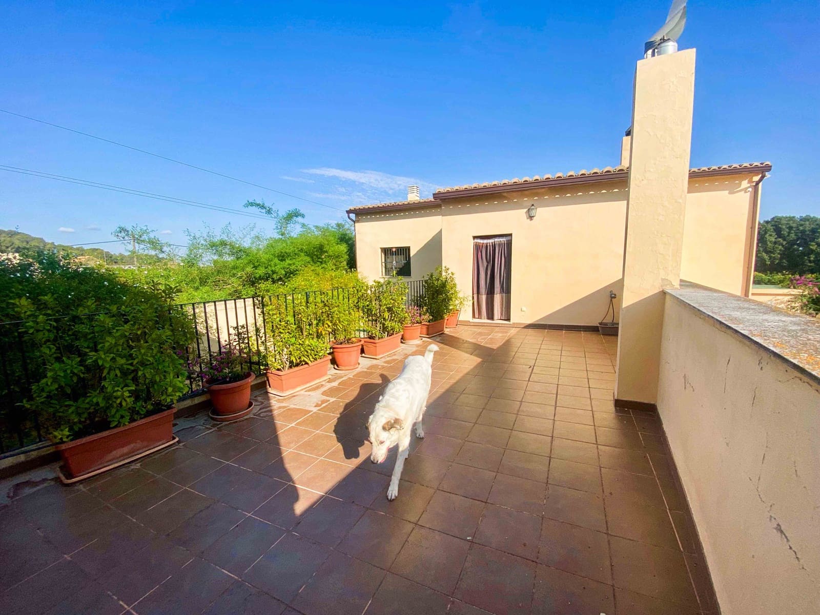 6 soverom Finca/Herregård til salgs i Alzira med svømmebasseng garasje - € 540 000 (Ref: 9172573)