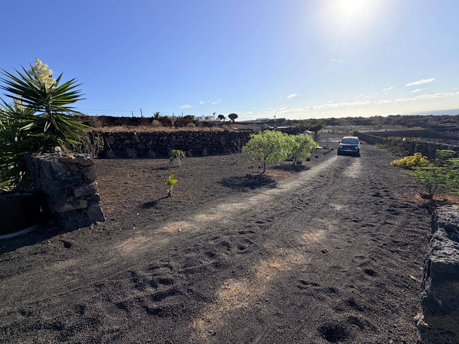 Terre non Aménagée à vendre à Arrieta - 365 000 € (Ref: 10041816)