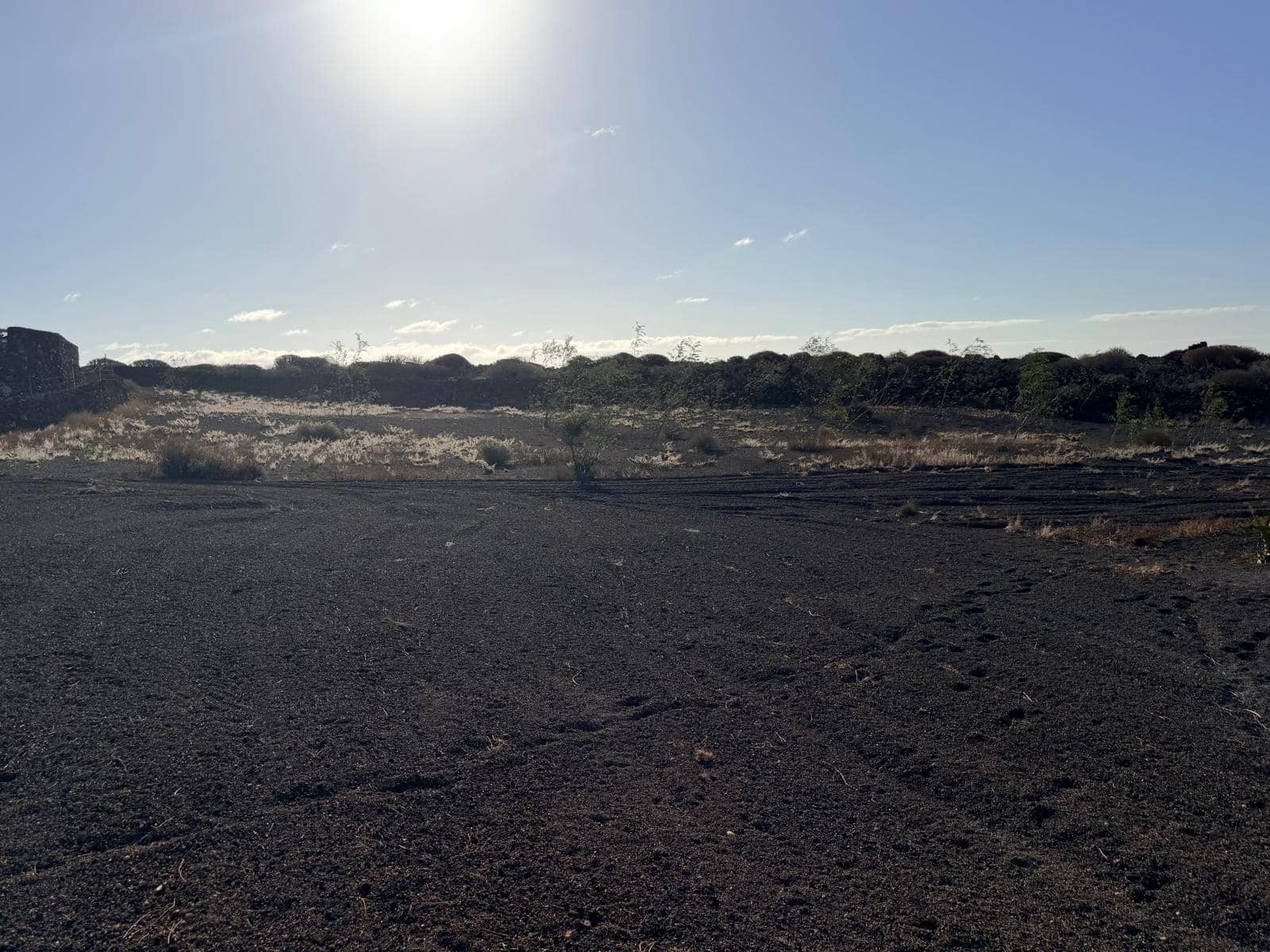 Undeveloped Land for sale in Arrieta - € 365,000 (Ref: 10041816)