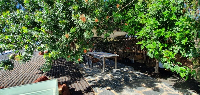 5 soveværelse Villa til salg i Las Brenas med swimmingpool garage - € 1.299.000 (Ref: 5931713)