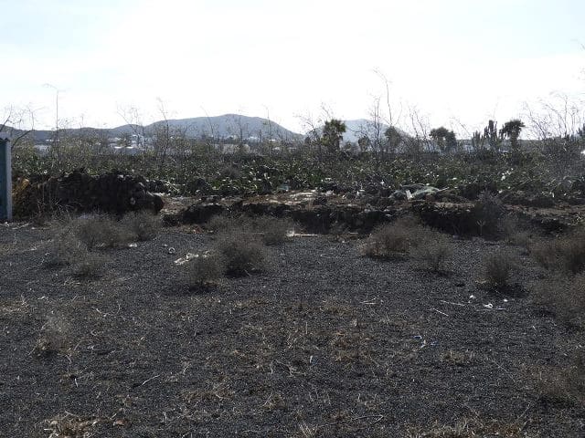 Rakentamaton maa myytävänä paikassa Mala, Haría - 300 000 € (Ref: 7385812)