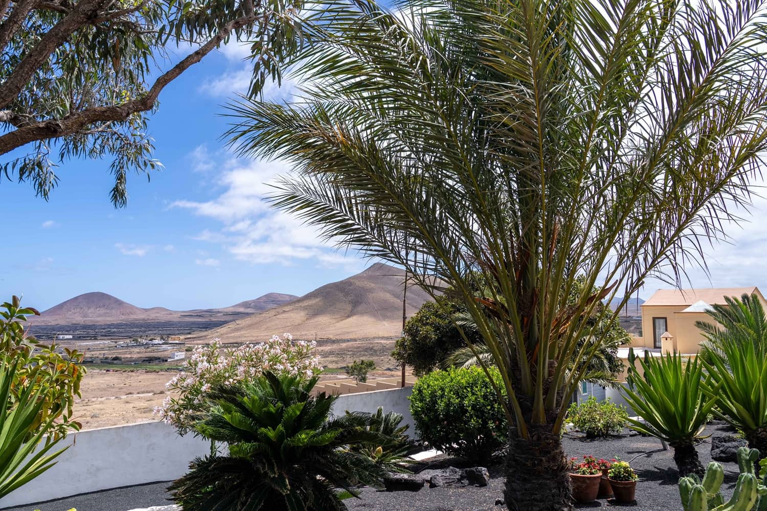 2 bedroom Apartment for sale in Tahiche with garage - € 595,000 (Ref: 9922913)
