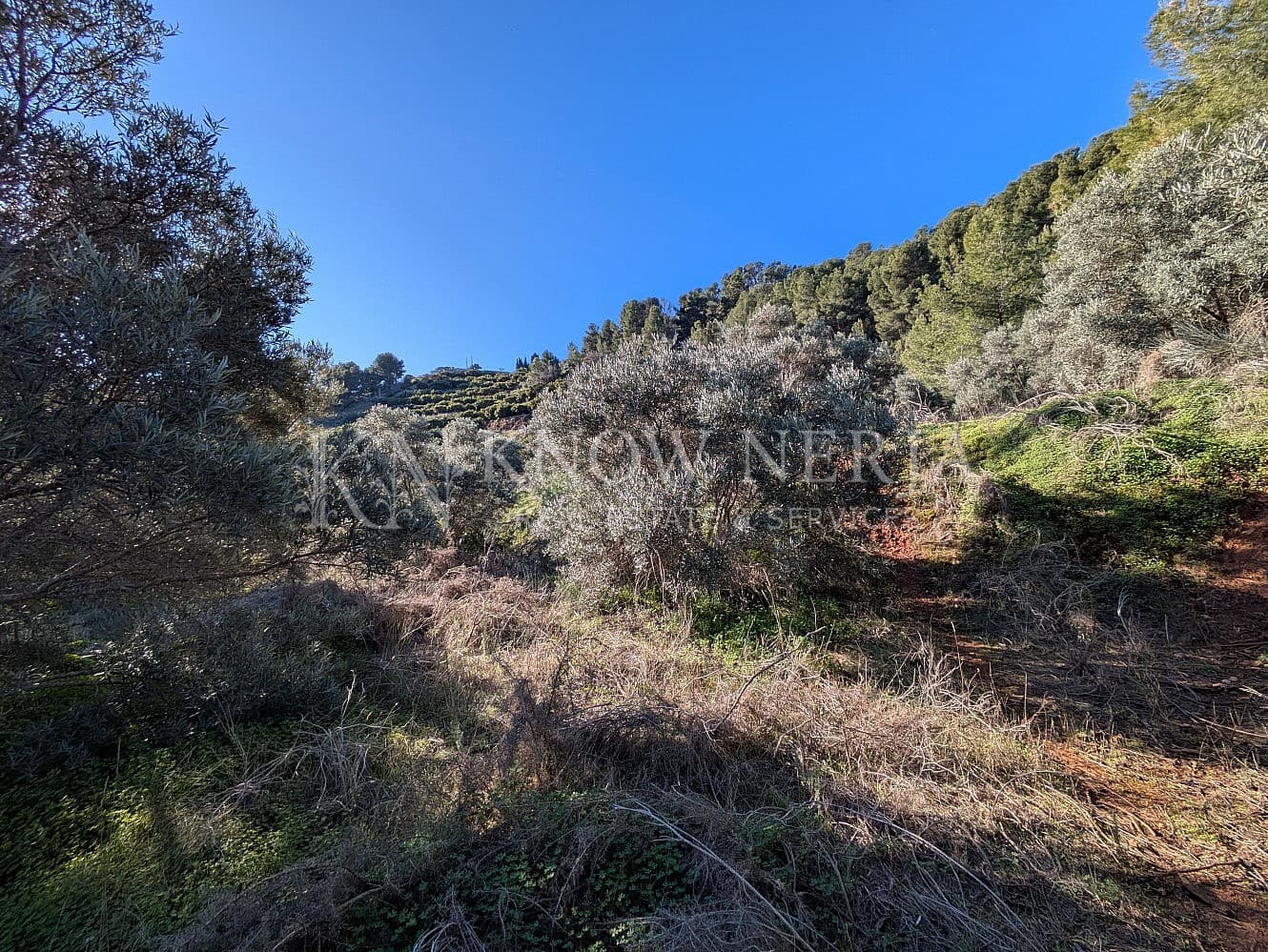 Terreno Não Urbanizado para venda em Almunecar - 120 000 € (Ref: 9532918)