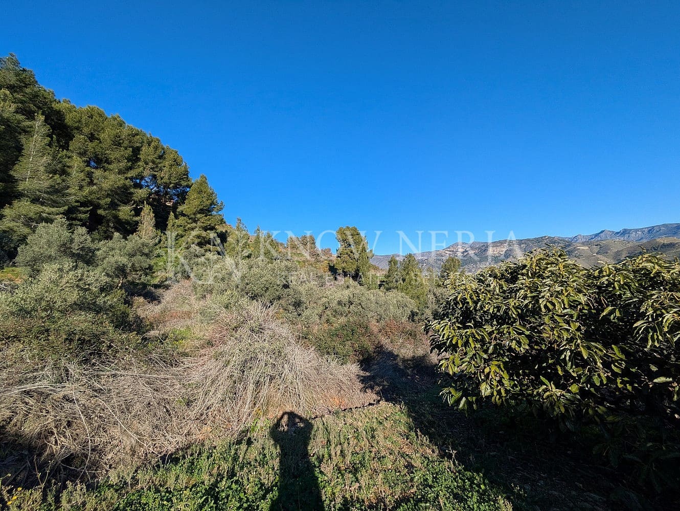 Terreno Não Urbanizado para venda em Almunecar - 120 000 € (Ref: 9532918)