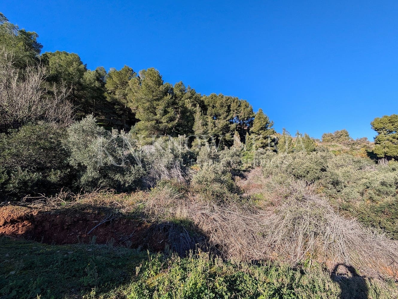 Terreno Não Urbanizado para venda em Almunecar - 120 000 € (Ref: 9532918)