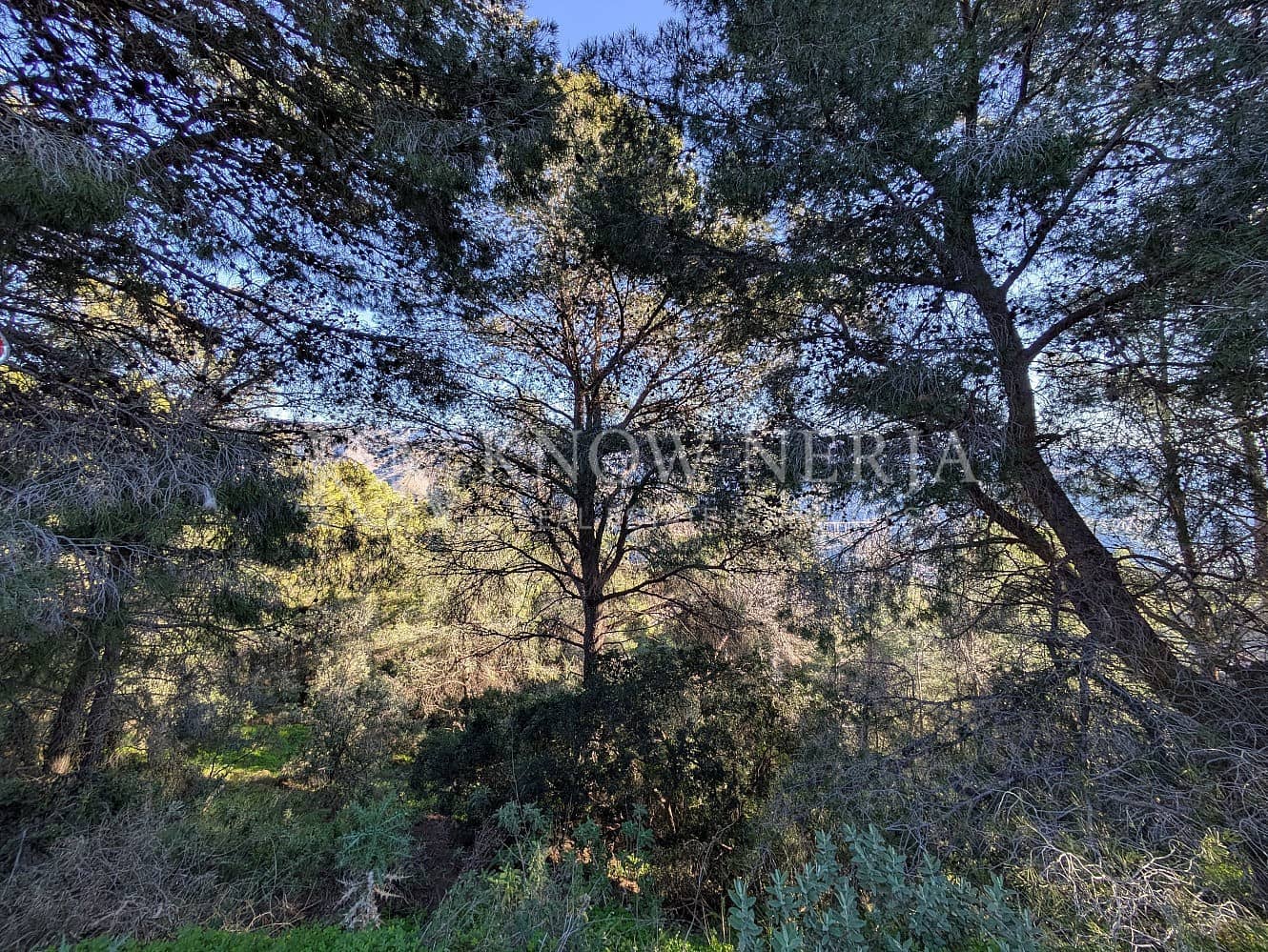 Terreno Não Urbanizado para venda em Almunecar - 120 000 € (Ref: 9532918)