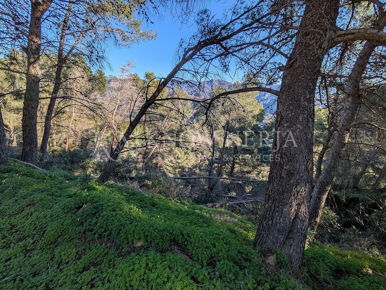 Terreno Não Urbanizado para venda em Almunecar - 120 000 € (Ref: 9532918)