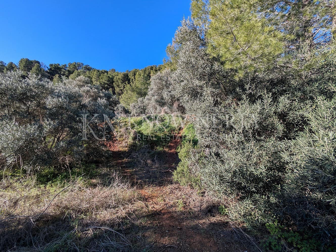 Terreno Não Urbanizado para venda em Almunecar - 120 000 € (Ref: 9532918)