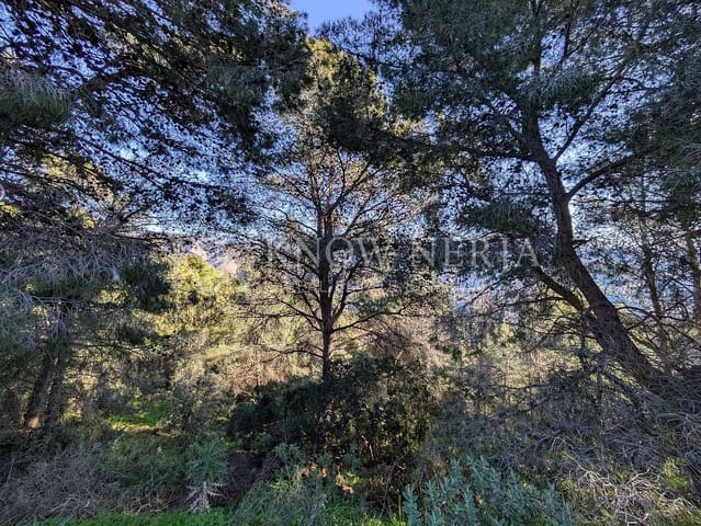 Terreno Não Urbanizado para venda em Almuñécar - 120 000 € (Ref: 9532918)