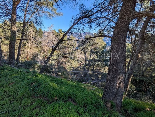 Terreno Não Urbanizado para venda em Almuñécar - 120 000 € (Ref: 9532918)