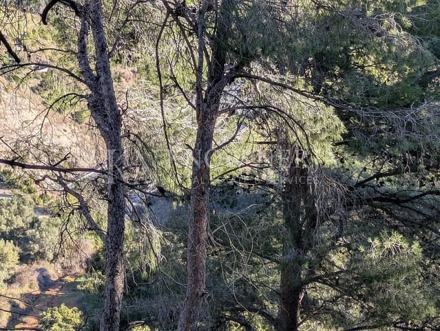 Terreno Não Urbanizado para venda em Almuñécar - 120 000 € (Ref: 9532918)