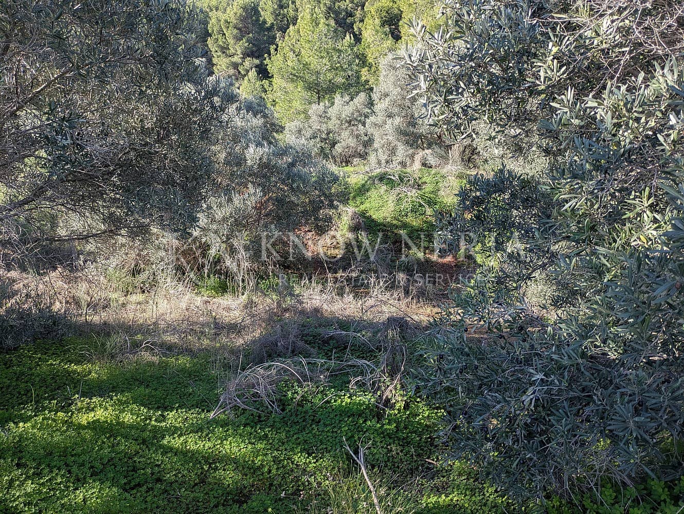 Terreno Não Urbanizado para venda em Almunecar - 120 000 € (Ref: 9532918)