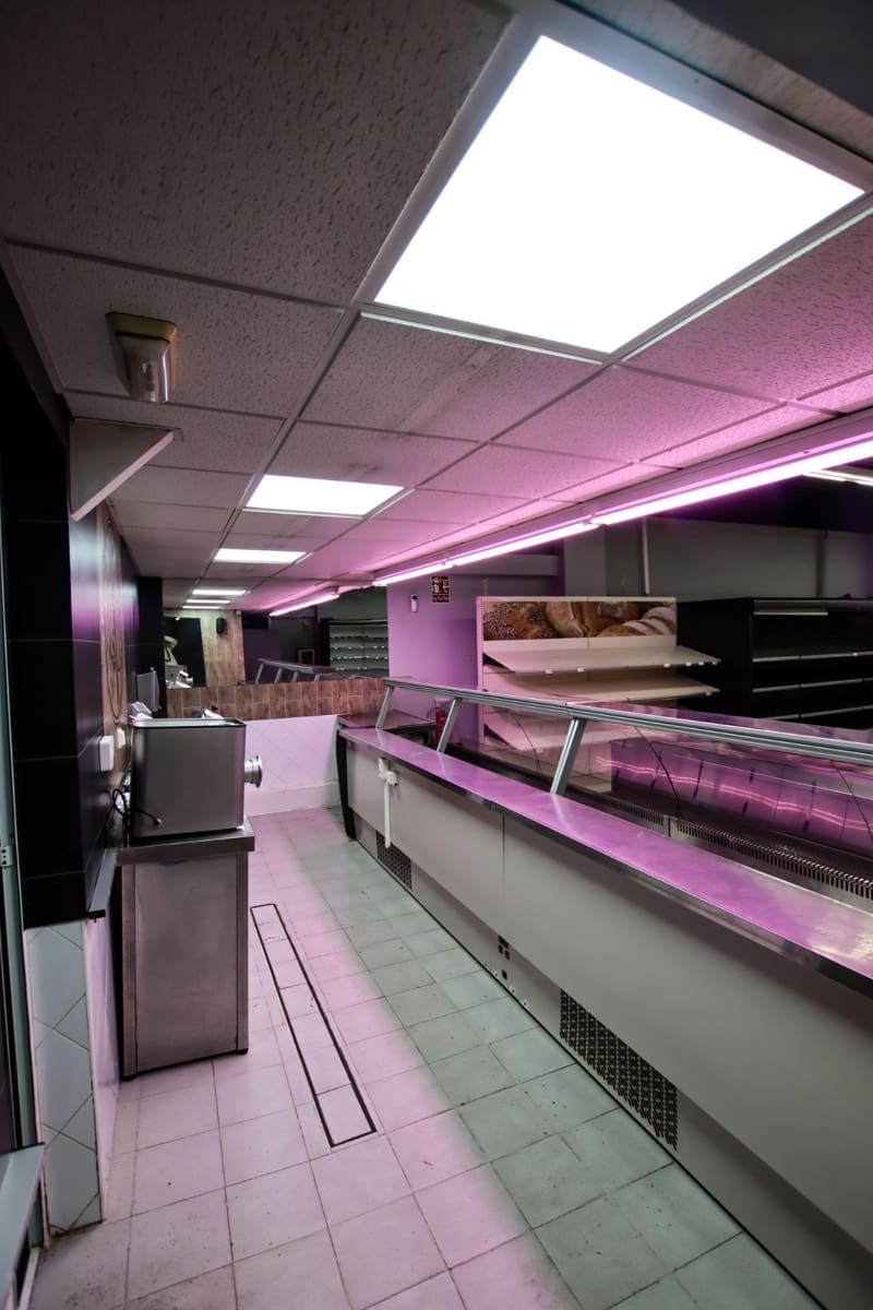 Erhverv til salg i Puebla de la Calzada - € 350.000 (Ref: 9194676)