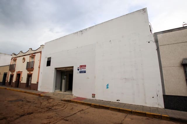Commercial for sale in Puebla de la Calzada - € 350,000 (Ref: 9194676)