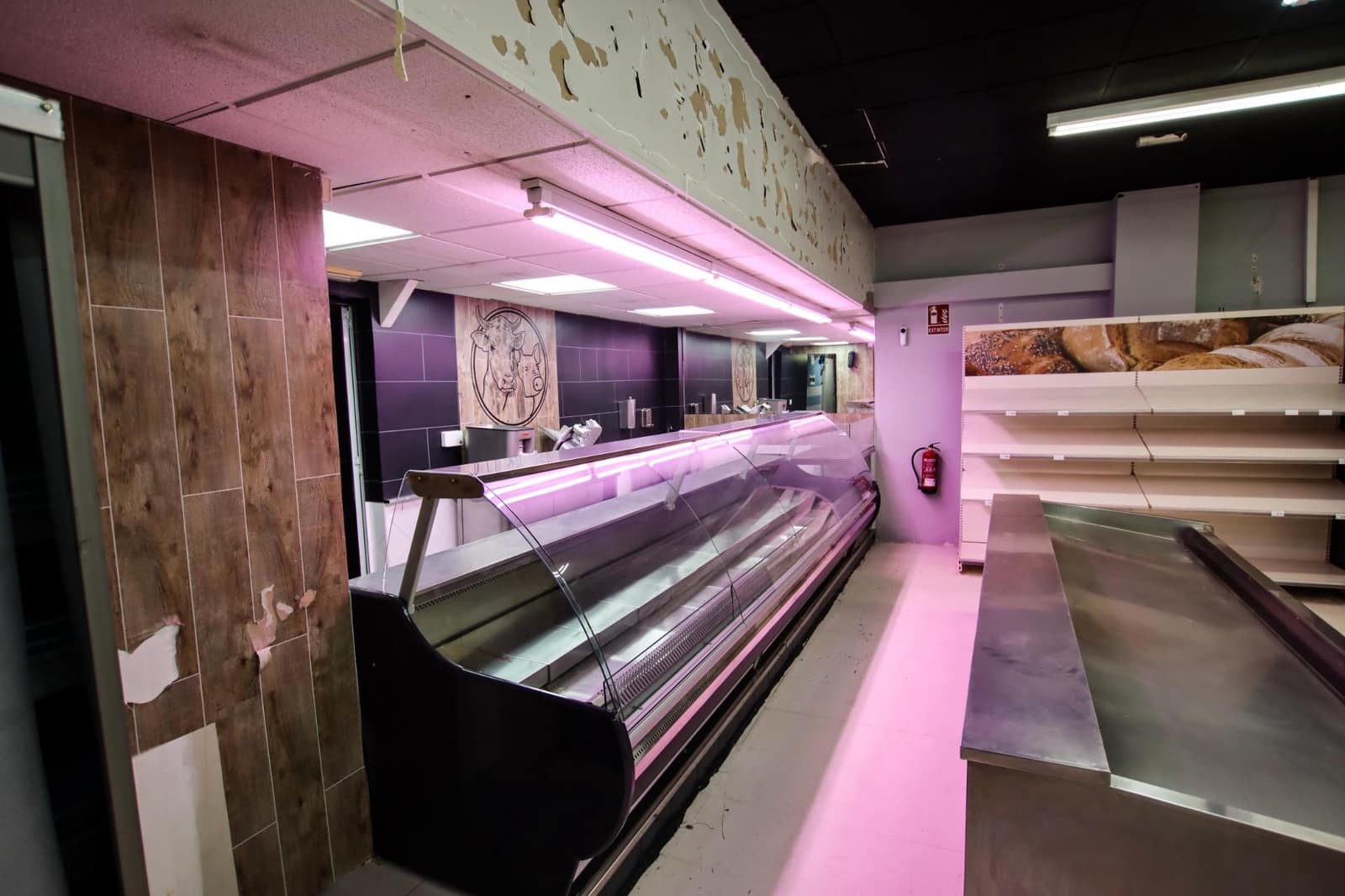 Erhverv til salg i Puebla de la Calzada - € 350.000 (Ref: 9194676)