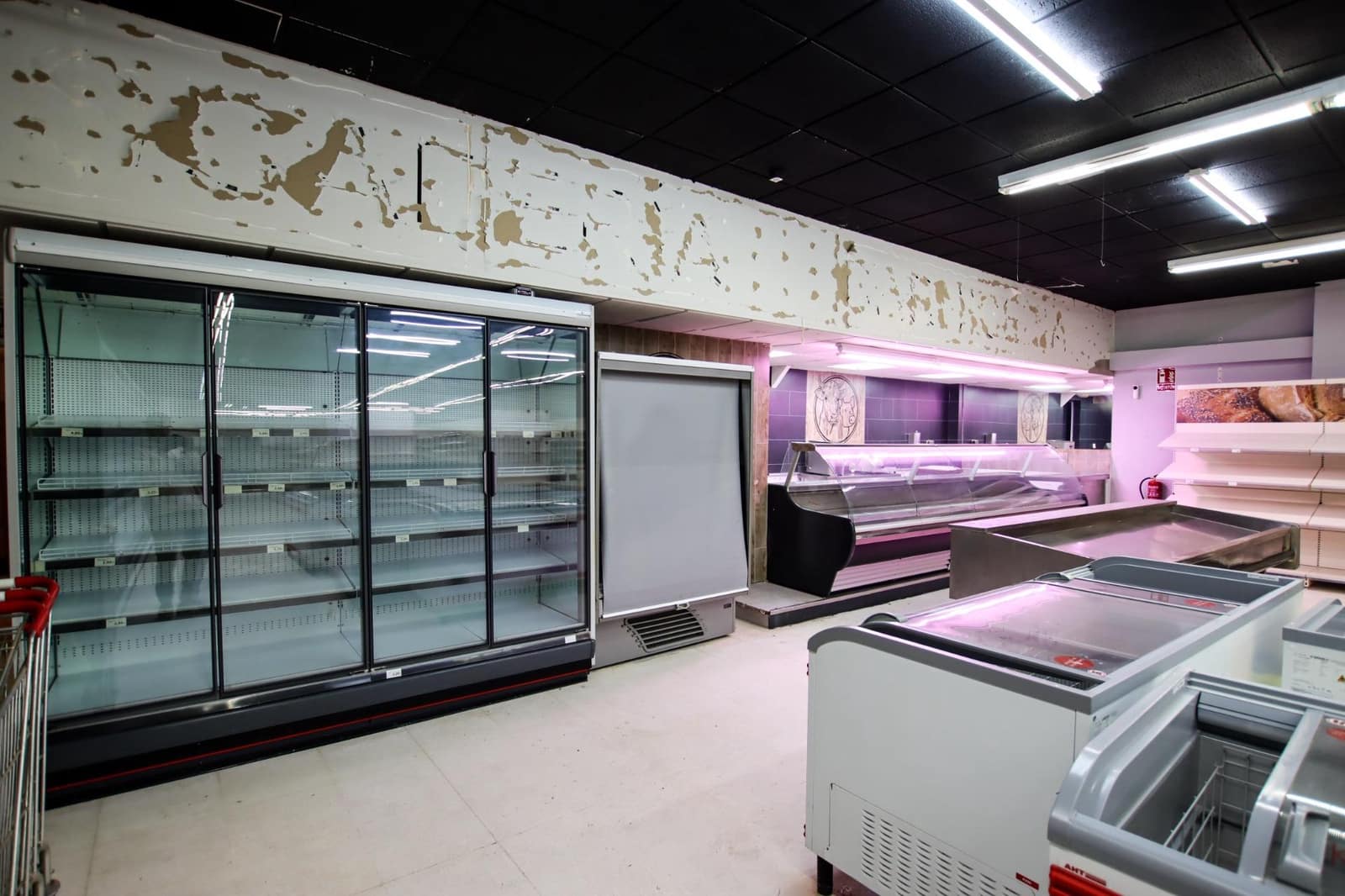 Erhverv til salg i Puebla de la Calzada - € 350.000 (Ref: 9194676)