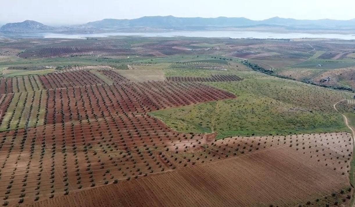 Mark till salu i Alange - 1 695 000 € (Ref: 9194682)