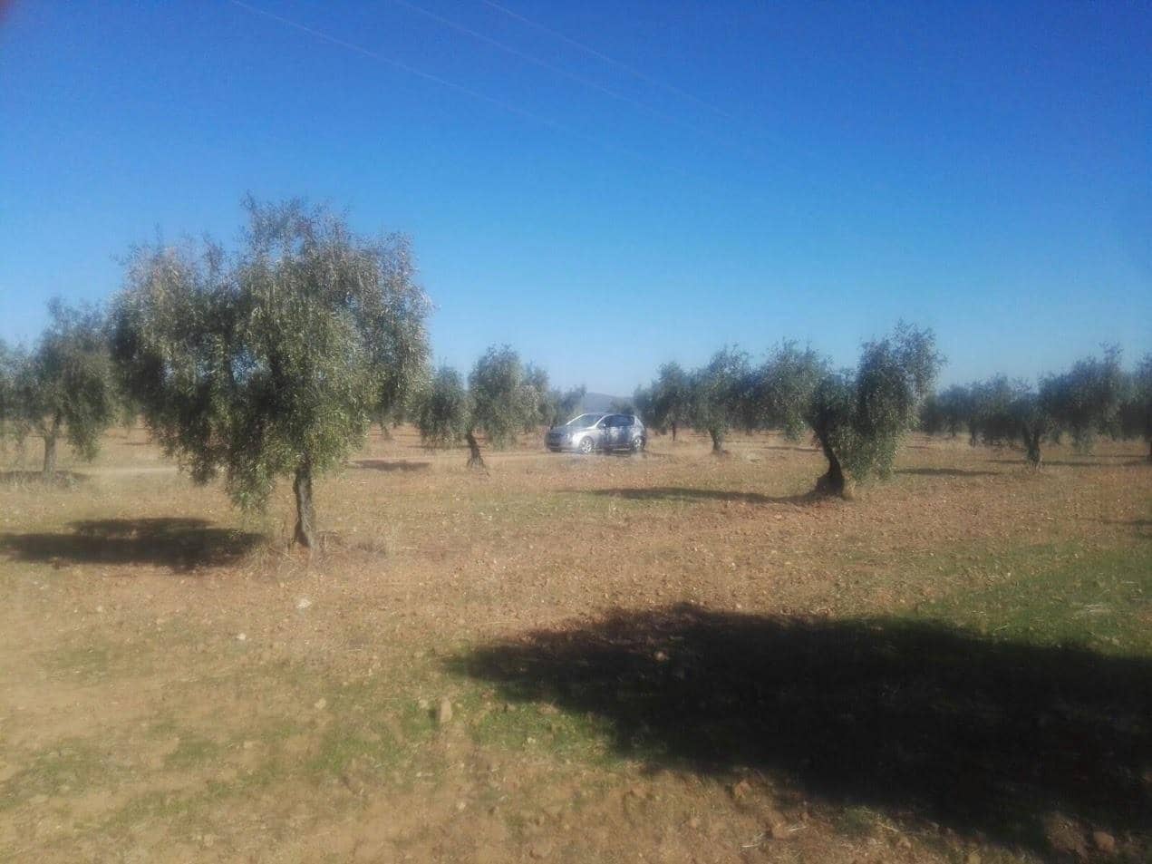 Mark till salu i Alange - 1 695 000 € (Ref: 9194682)