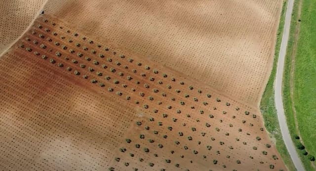 Mark till salu i Alange - 1 695 000 € (Ref: 9194682)