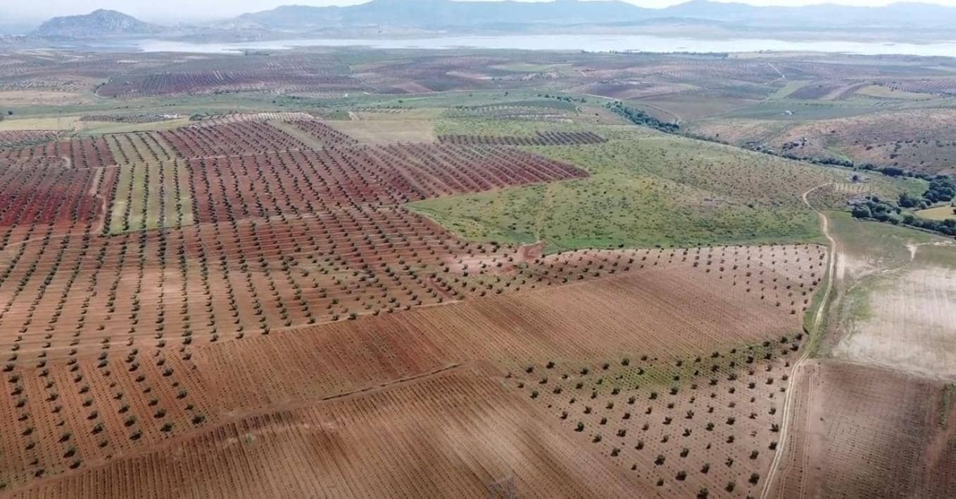 Mark till salu i Alange - 1 695 000 € (Ref: 9194682)