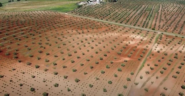 Mark till salu i Alange - 1 695 000 € (Ref: 9194682)