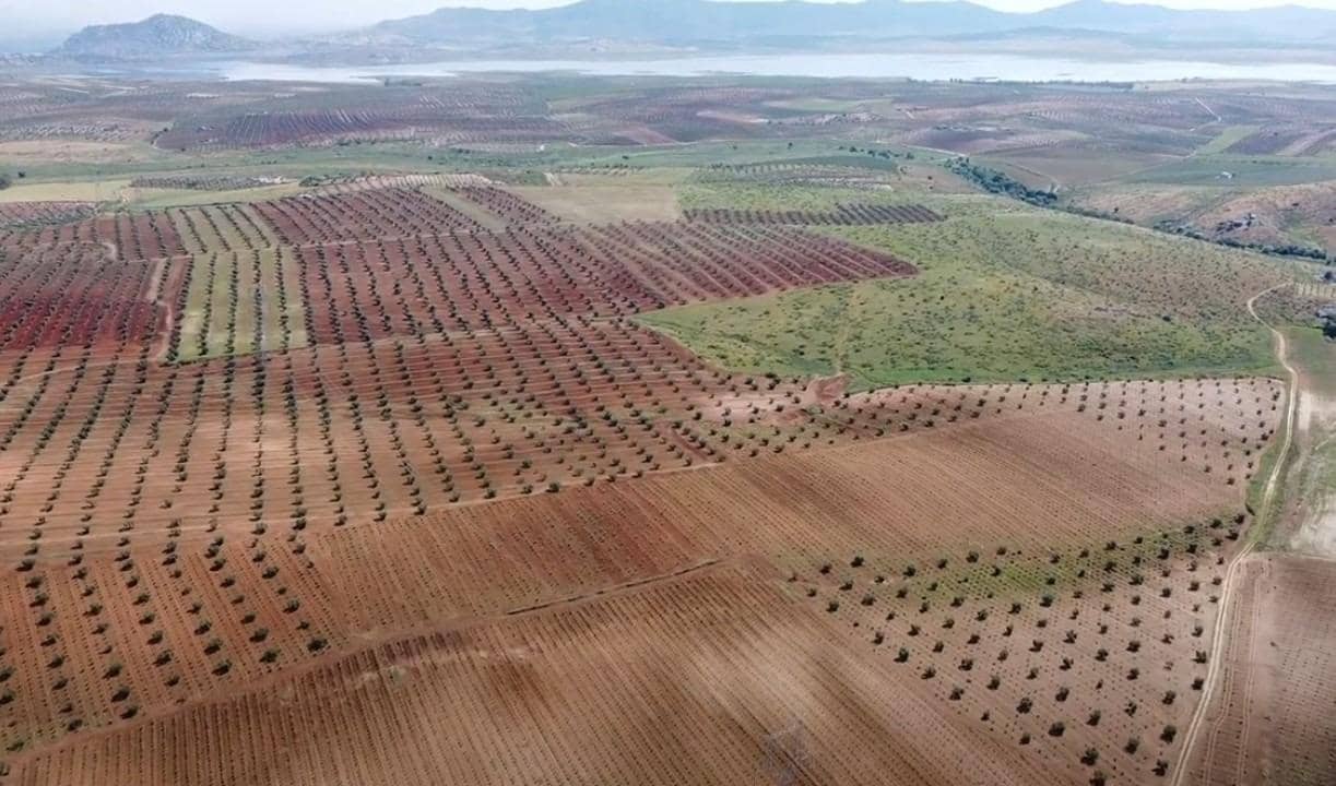 Mark till salu i Alange - 1 695 000 € (Ref: 9194682)