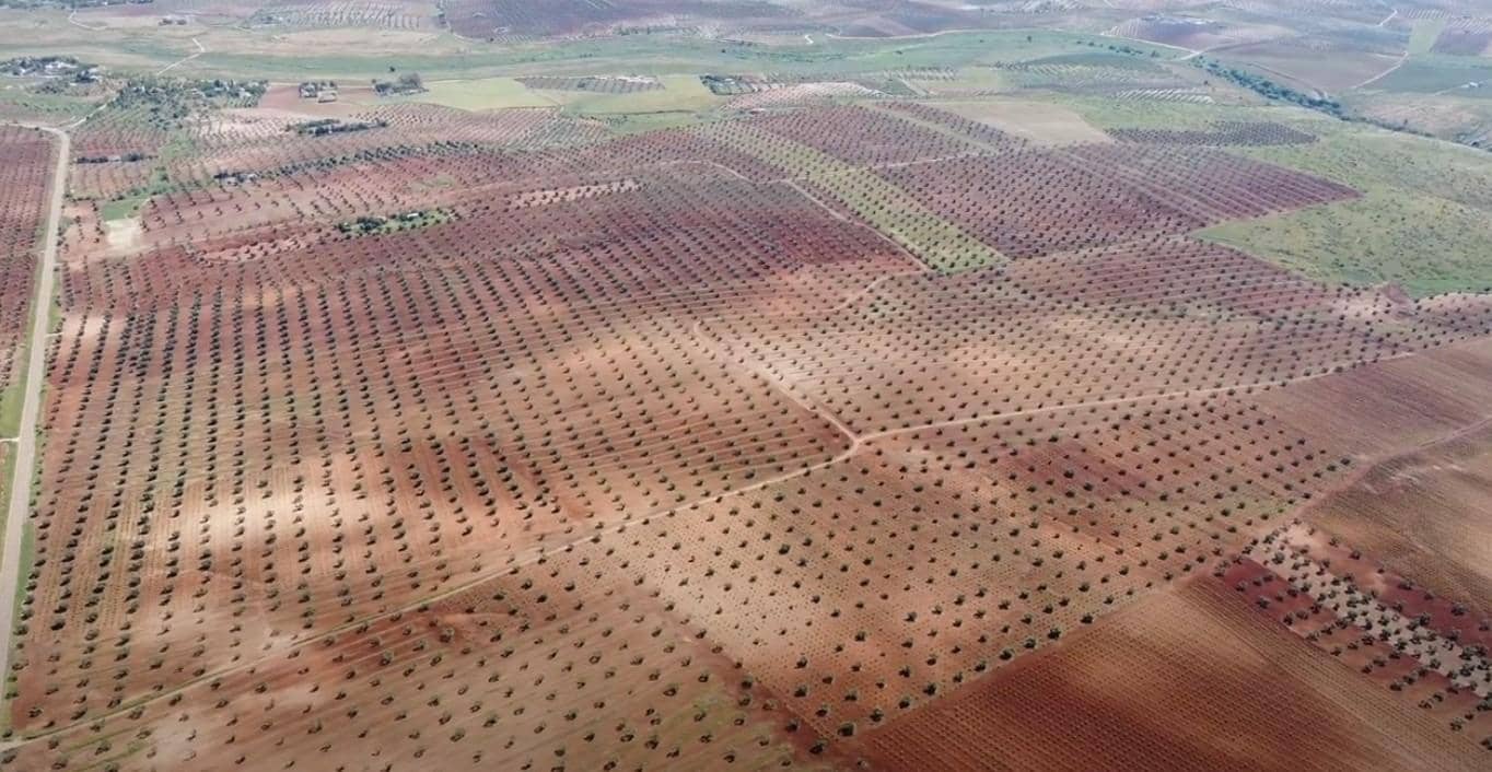 Mark till salu i Alange - 1 695 000 € (Ref: 9194682)