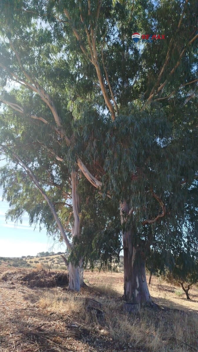 Grunde uden byggetilladelser til salg i Alburquerque - € 245.000 (Ref: 9194684)