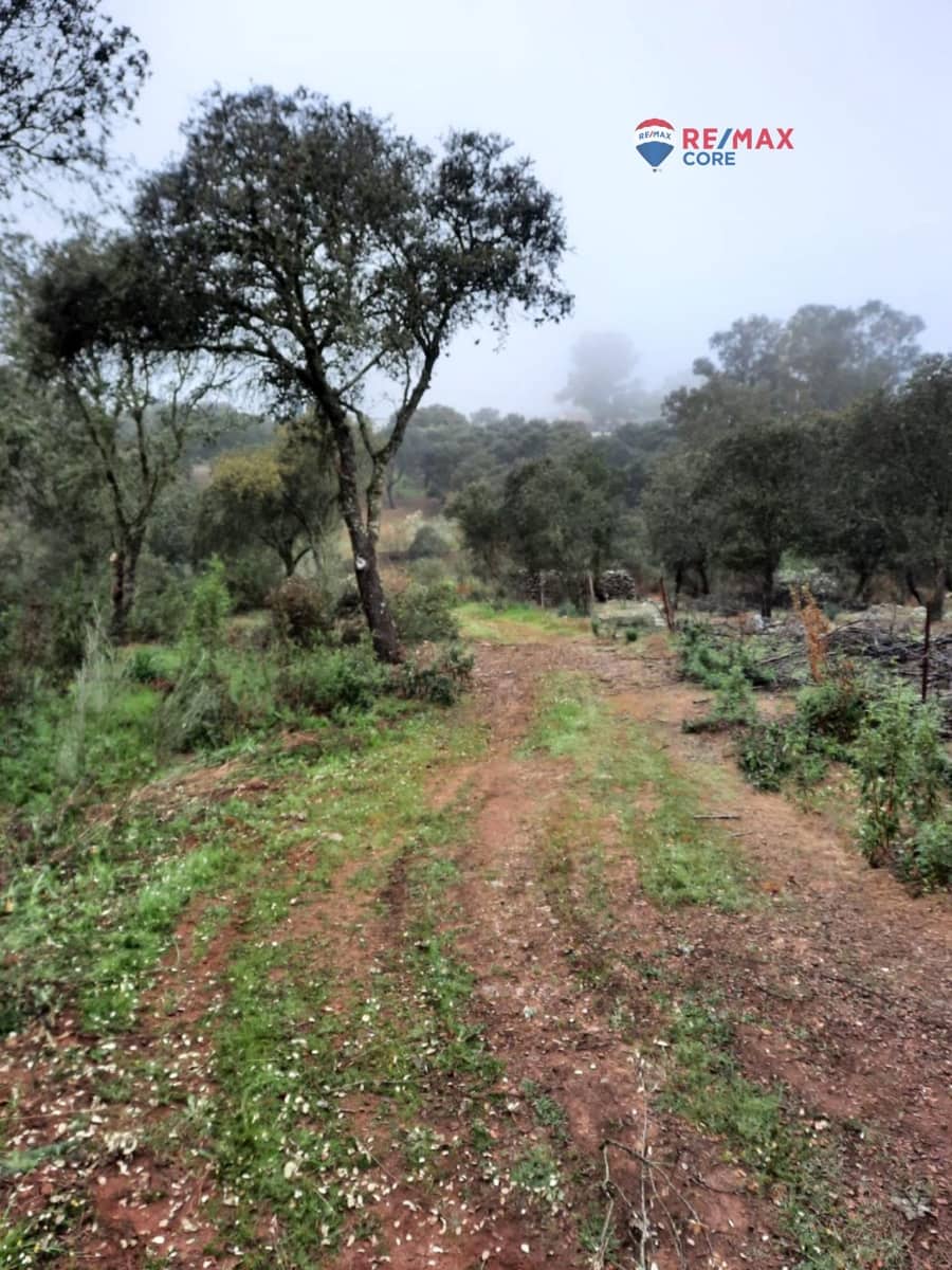 Grunde uden byggetilladelser til salg i Alburquerque - € 245.000 (Ref: 9194684)