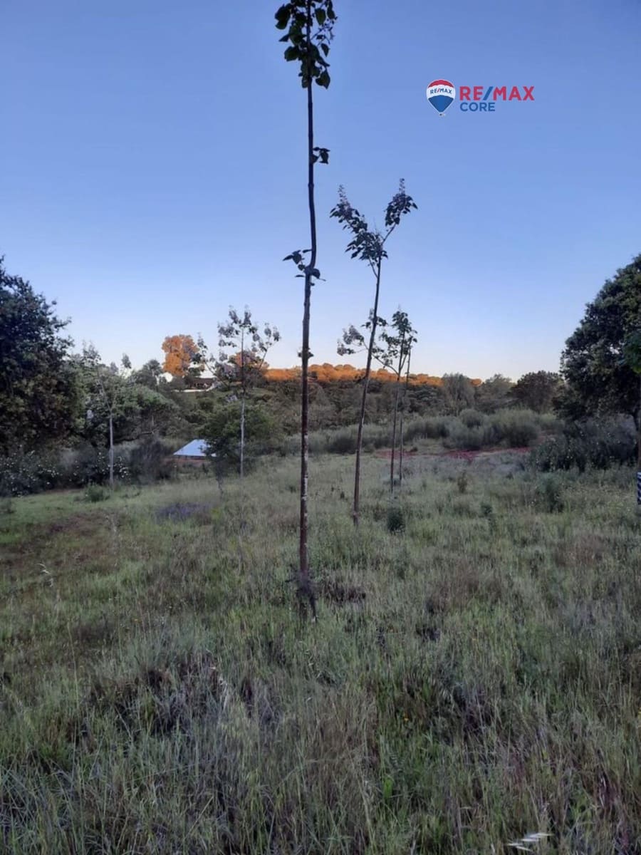 Grunde uden byggetilladelser til salg i Alburquerque - € 245.000 (Ref: 9194684)