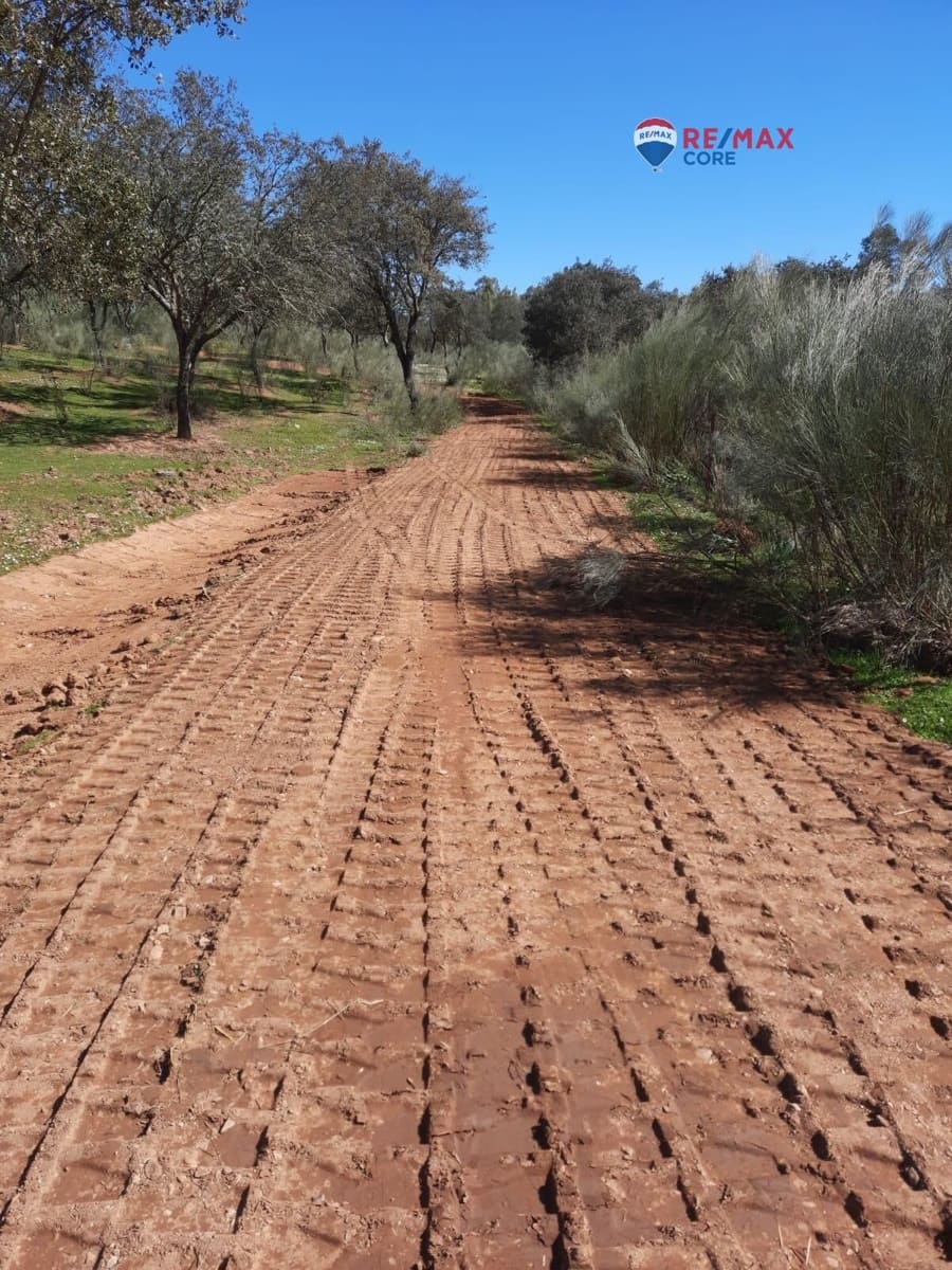 Grunde uden byggetilladelser til salg i Alburquerque - € 245.000 (Ref: 9194684)