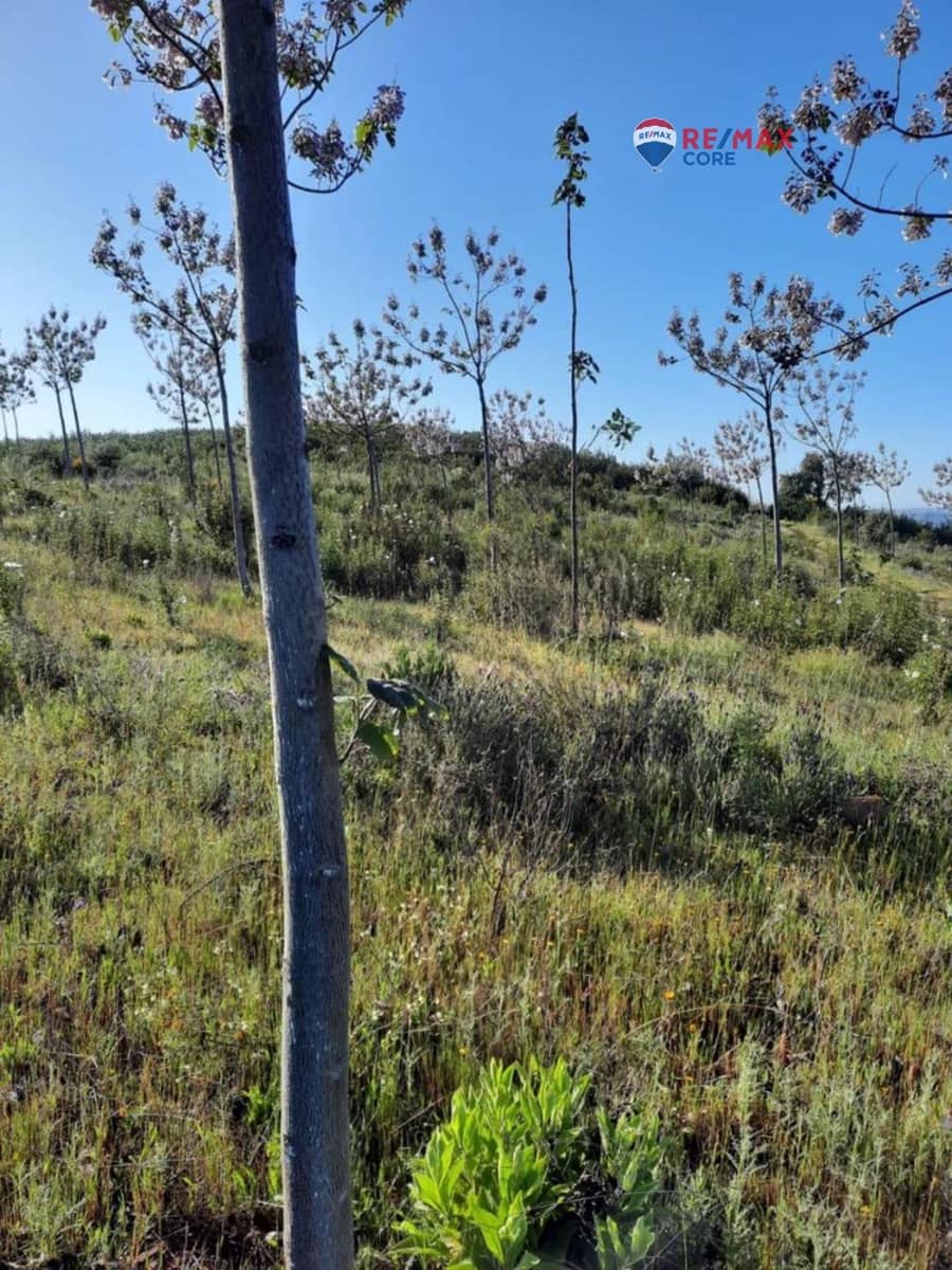 Grunde uden byggetilladelser til salg i Alburquerque - € 245.000 (Ref: 9194684)